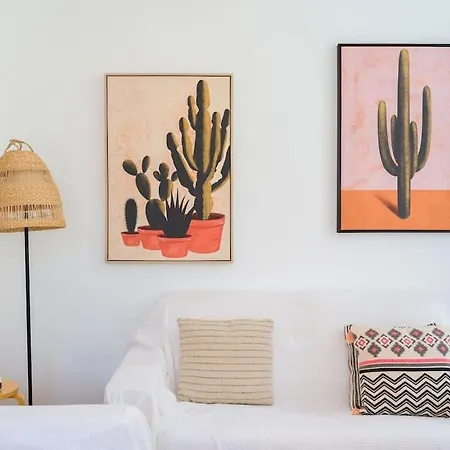 Casa Velero To 100mt From , Optical Fiber *