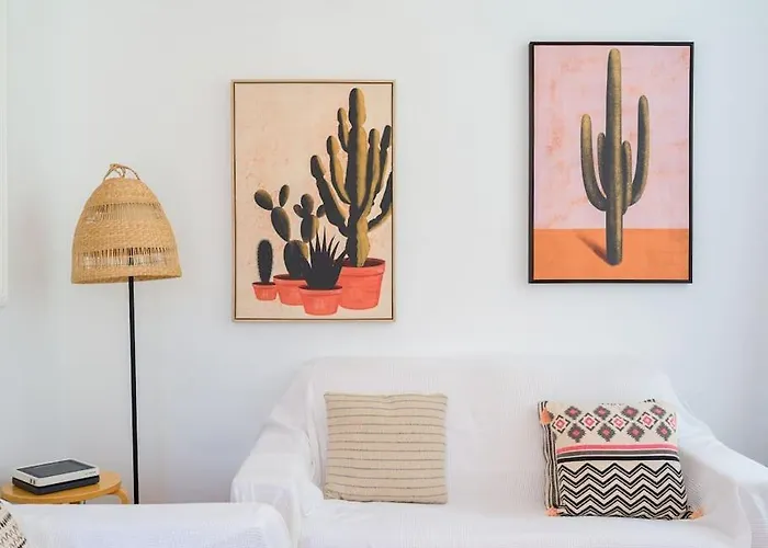 Casa Velero To 100mt From , Optical Fiber *